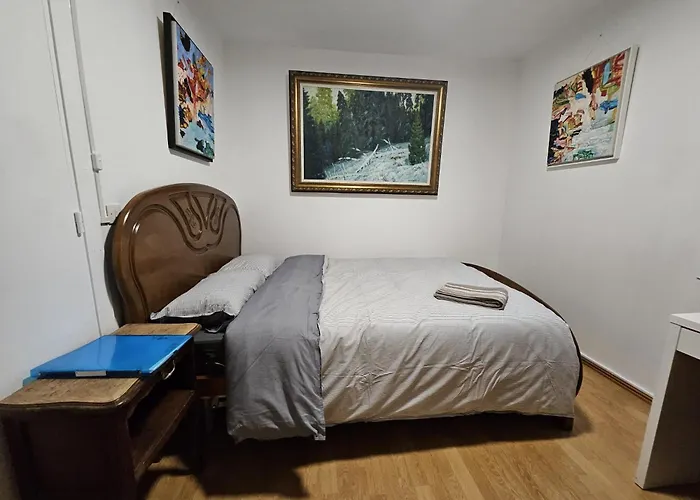 招待所 Lumineuses Avec Vue Sur Montmartre 巴黎